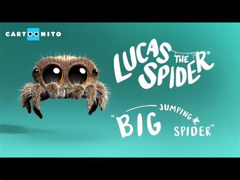 Lucas The Spider: Big Jumping Spider…: English ESL video lessons