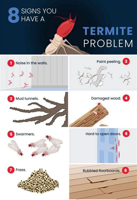 Termite Inspection Checklist For Your Home | Termites, Termite inspection, Termite problem