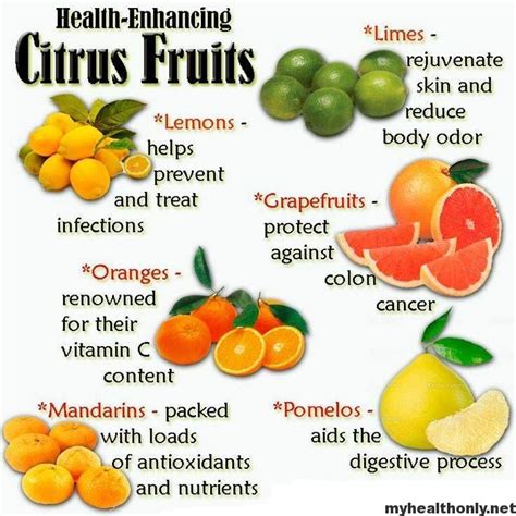 List of Citrus Fruits and Benefits of Citrus Fruits - My Health Only