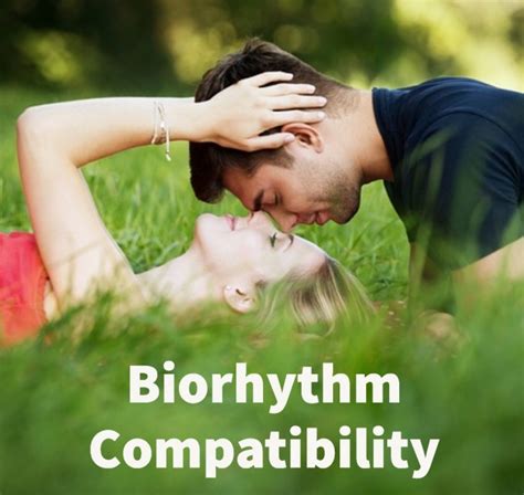 Discover the 7 secrets of biorhythm compatibility