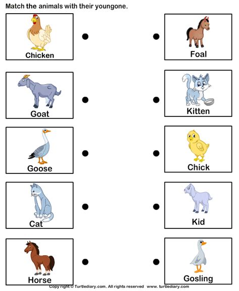 Match Farm Animals To Their Babies Worksheet 2 - Turtle Diary