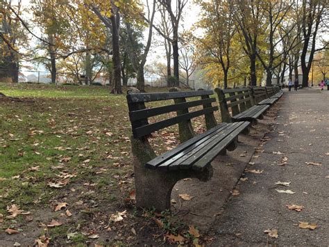 Benches in Central Park NY | New york travel, Outdoor, Outdoor decor