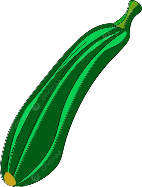 A Zucchini Vector Or Color Illustration Clipart Immature Illustration ...