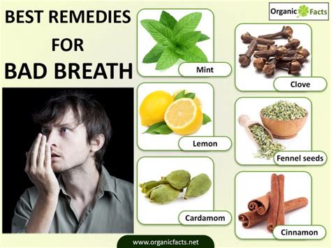 12 Wonderful Home Remedies for Bad Breath (Halitosis) | Organic Facts