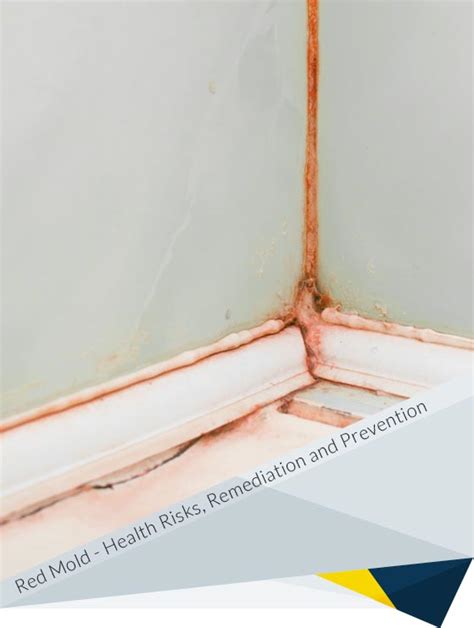 Red Mold: Types, Health Risks, Remediation and Prevention