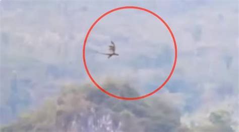 Video: Is that really a dragon that’s been caught on tape in China ...