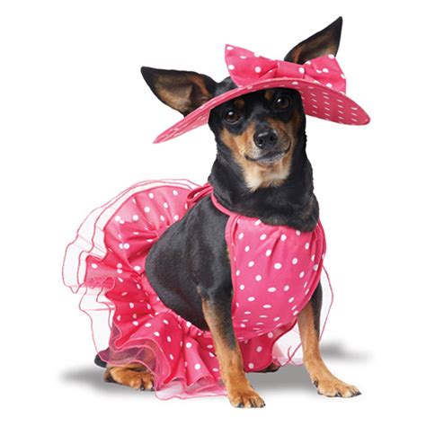 BCRF Pretty in Pink Dog Dress | BaxterBoo