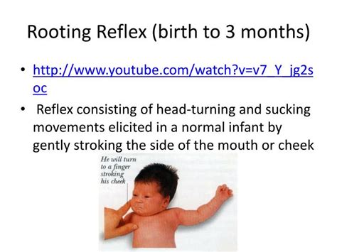 PPT - Child Development Reflexes PowerPoint Presentation - ID:3959645