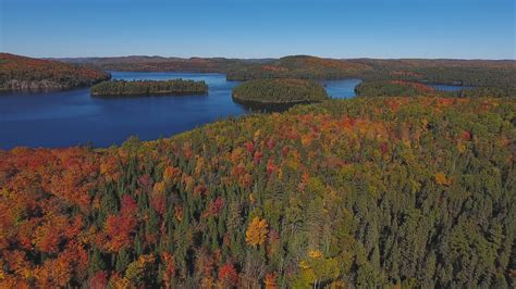 4K Video Sequence of Algonquin Provincial Park , Canada - Algonquin ...