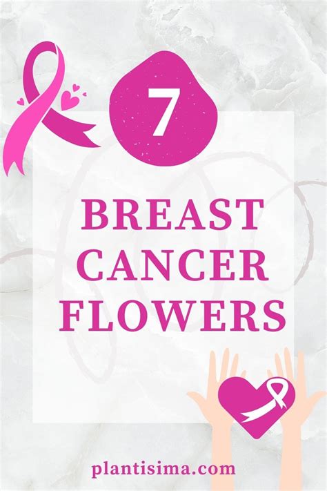 7 Breast Cancer Flowers: Beautiful Blooms For Breast Cancer Survivors - Plantisima