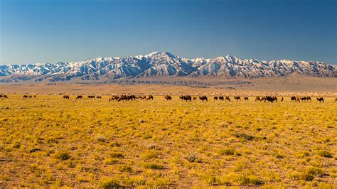 Amazing Landscape Photography of Mongolia