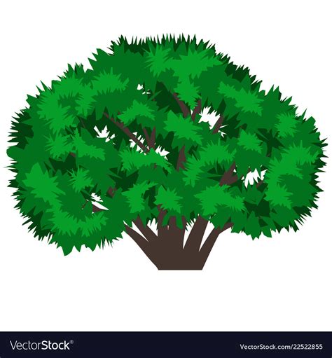 Green tree isolated on white background Royalty Free Vector