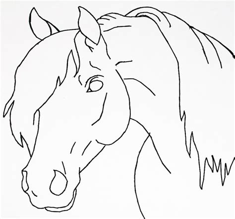 Horse drawings, Easy horse drawing, Horse head drawing