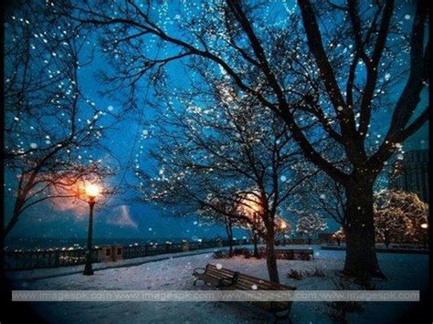 Winter Scenery at Night | Winter Night Scene Wallpaper | Winter scenes ...