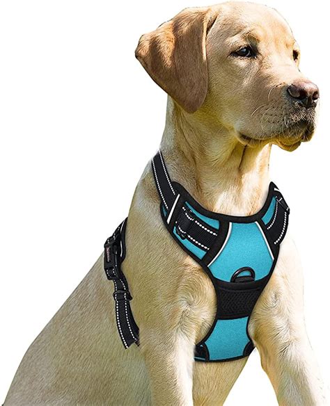 8 Best No-Pull Dog Harnesses - Top Picks & Buying Guide