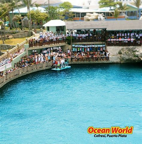 Ocean World Marine Park, Marina and Casino Cofresi Dominican Republic