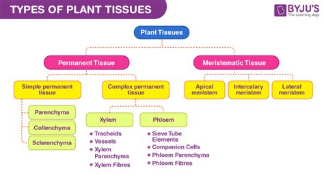 Chapterwise Important Tables and Charts in Biology for NEET 2023 ...