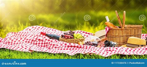 Picnic on a Sunny Day stock photo. Image of dinner, bottle - 117230476