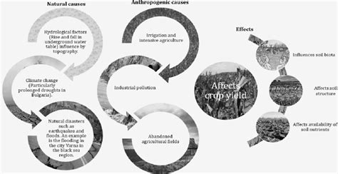 Conceptual illustration of the causes and effects of salinity in Bulgaria. | Download Scientific ...