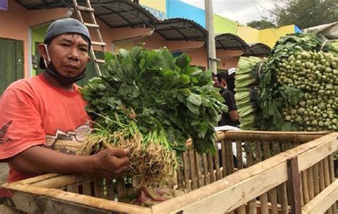 Viral! Pedagang Ramai-ramai Buang Sayur, Apa Kisah - PATROLIPOST