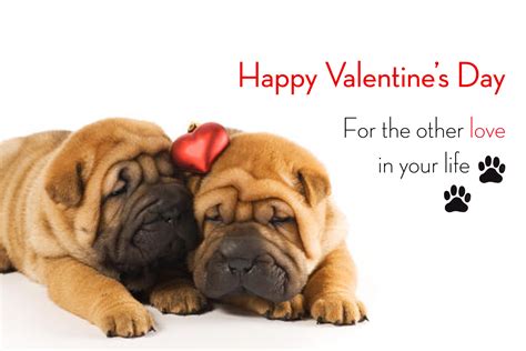 🔥 [50+] Valentine's Day Dog Wallpapers | WallpaperSafari