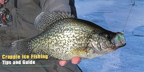 10 Ice Fishing for Crappie Tips and Guide to Follow for the Anglers