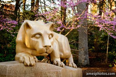 Nittany Lion Shrine Photos by William Ames