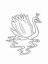 Swan coloring Page sketch template
