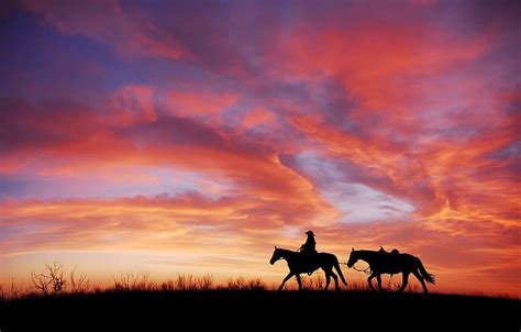 Free download | sunset, silhouette, cowboy, horse, dusk, dom, landscape, nature, west, wild | Pxfuel