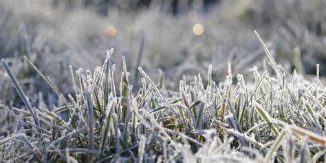 Forecasting frost - Met Office