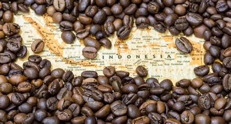 The 5 Best Indonesian Coffee Brands - DrinkStack