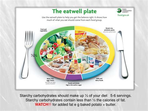 PPT - Starchy Carbohydrate Foods PowerPoint Presentation, free download - ID:499937