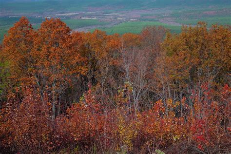 Talimena Scenic Drive in Fall Photograph by Iris Greenwell