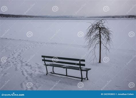 Frozen Skaneateles Lake during the Winter Months Stock Image - Image of frozen, dock: 242392803