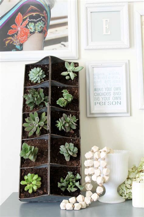 Indoor Succulent Garden in Minutes - Angie Holden The Country Chic Cottage