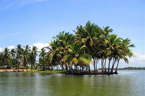 Best beaches in Ghana - Lonely Planet