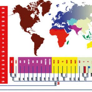 DNA haplogroup tree and distribution map. Haplogroup labels are... | Download Scientific Diagram