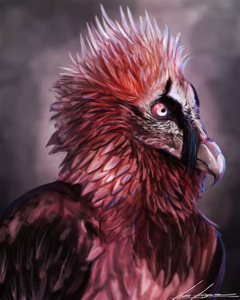 Bearded Vulture by LukeF on Newgrounds