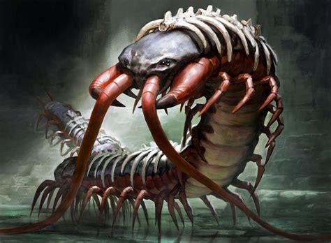 Spinal Centipede by https://www.deviantart.com/zezhou on @DeviantArt | Centipede, Fantasy ...