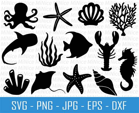 Ocean Life SVG Bundle Ocean Animal SVG Under the Sea SVG | Etsy Australia