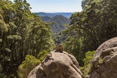 About the Paparoa Track | Cycle Journeys - Paparoa Track Operator