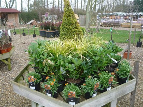 Garden Centre & Machinery | North Walsham Garden Centre