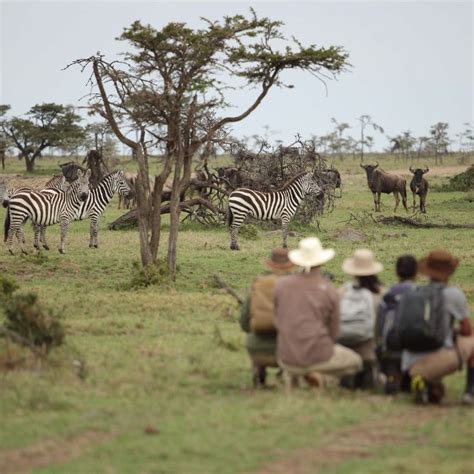 7-Day The Great Savannah Luxury Safari All Inclusive in 2023 | Africa ...