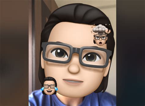 How to Use Memoji During a FaceTime Call on iPhone and iPad