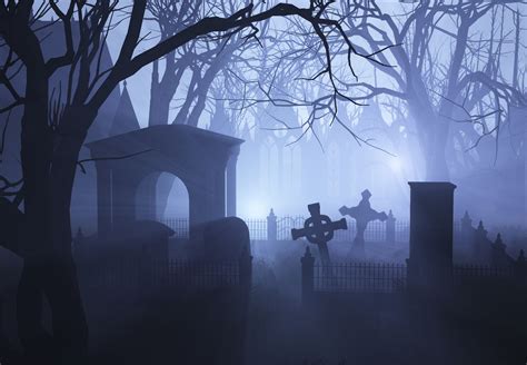 Misty graveyard | Cemeteries, Origin of halloween, Cemetary