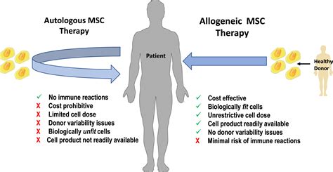 Autologous versus allogeneic mesenchymal stem cell therapy: The pros and cons - Surgery