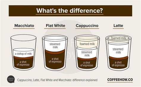 Cappuccino VS Latte | How to make cappuccino, Cappuccino recipe, Barista recipe