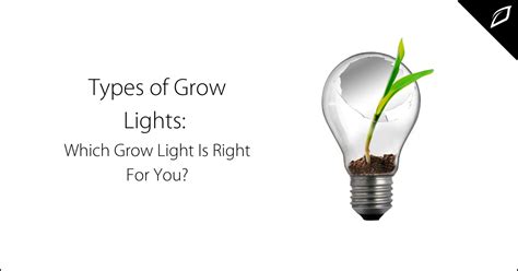 Types of Grow Lights