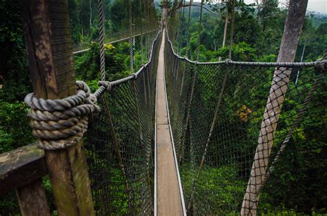 Canopy Walkways at Kakum National Park