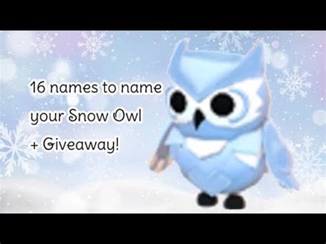 16 Names to Name your Snow Owl in Adopt Me! + Giveaway at 100 ...